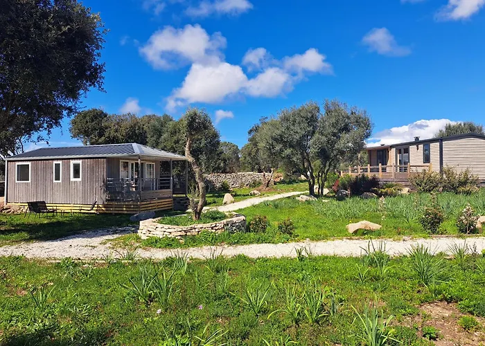 Chalet 3 Au Coeur Du Maquis *